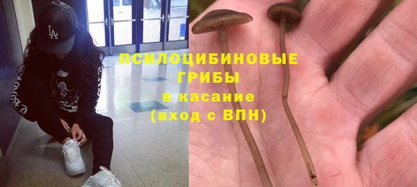 прущие крисы Алзамай